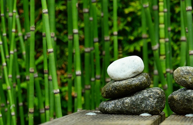 bambus a kameny