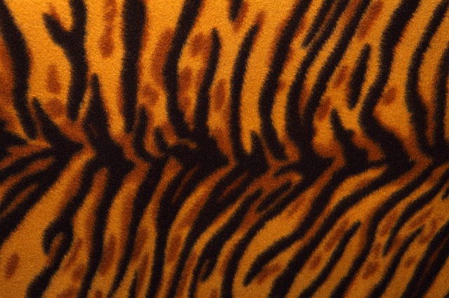 gepardí vzor
