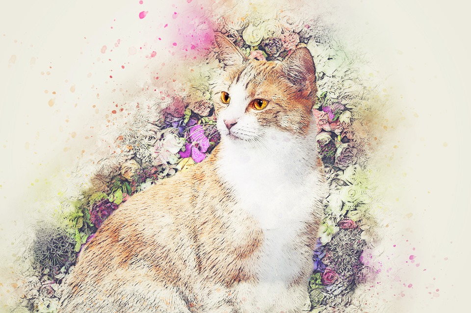 kočka s květinami
